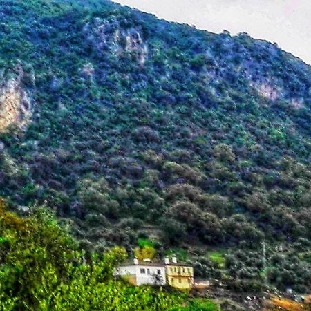בית הארחה אל בוסקה 	El Antiguo Molino מראה חיצוני תמונה