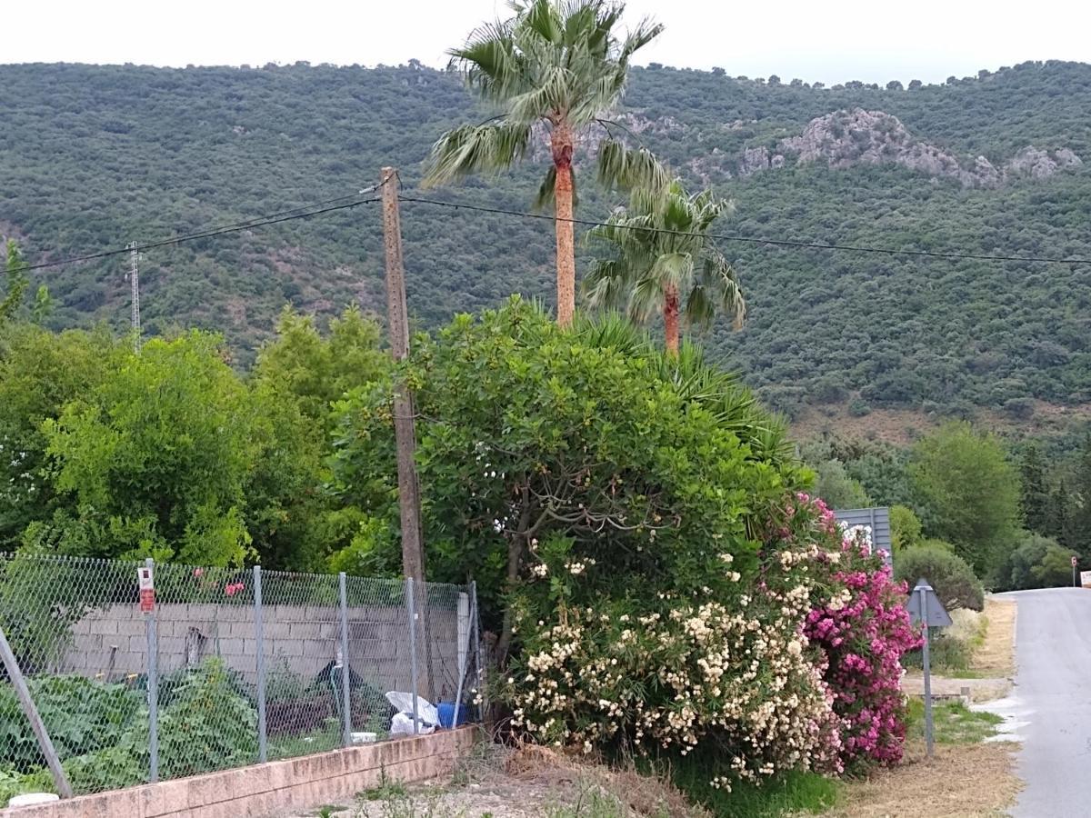 בית הארחה אל בוסקה 	El Antiguo Molino מראה חיצוני תמונה