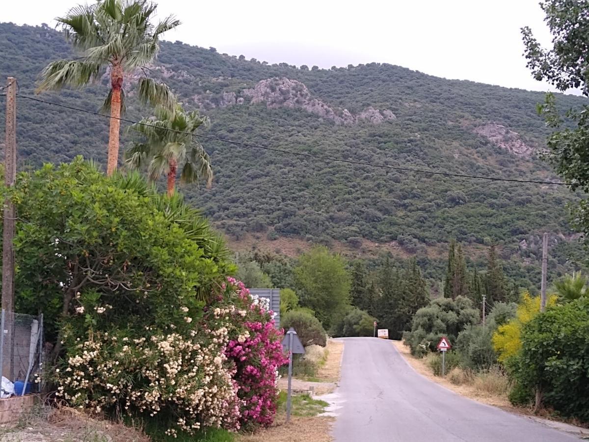 בית הארחה אל בוסקה 	El Antiguo Molino מראה חיצוני תמונה