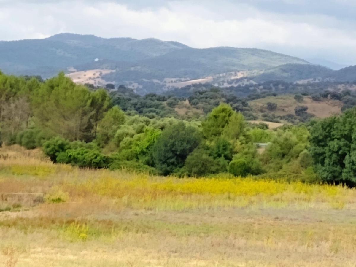 בית הארחה אל בוסקה 	El Antiguo Molino מראה חיצוני תמונה