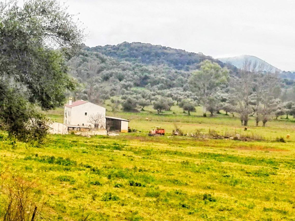 בית הארחה אל בוסקה 	El Antiguo Molino מראה חיצוני תמונה