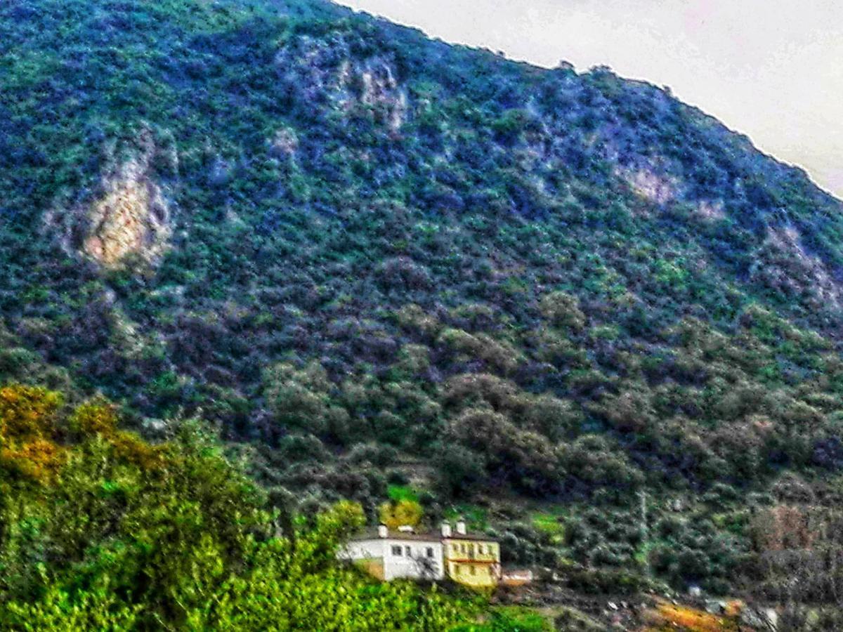 בית הארחה אל בוסקה 	El Antiguo Molino מראה חיצוני תמונה