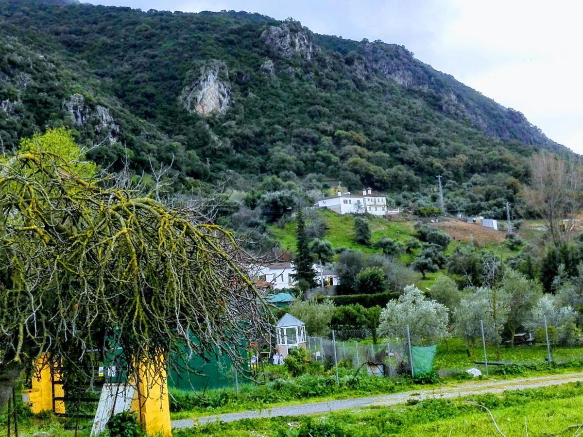בית הארחה אל בוסקה 	El Antiguo Molino מראה חיצוני תמונה